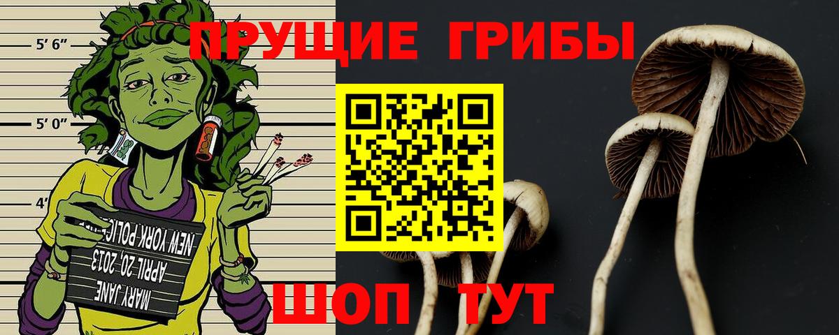 где продают наркотики  Вход с VPN  Ессентуки  Галлюциногенные грибы GOLDEN TEACHER 